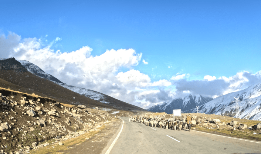 Trip Clicks