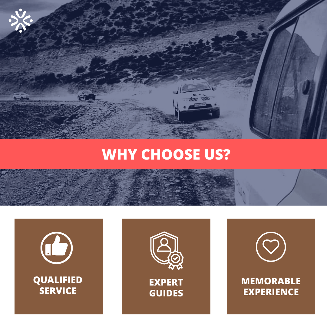 Why Choose us - Travelinkedd