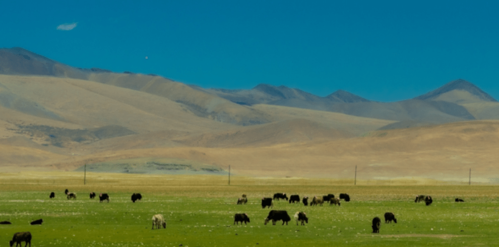 Tibet Motorcycle tour