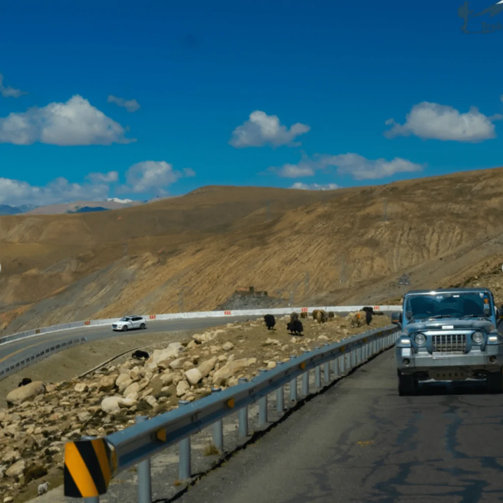 Tibet 4x4 suv self drive tour