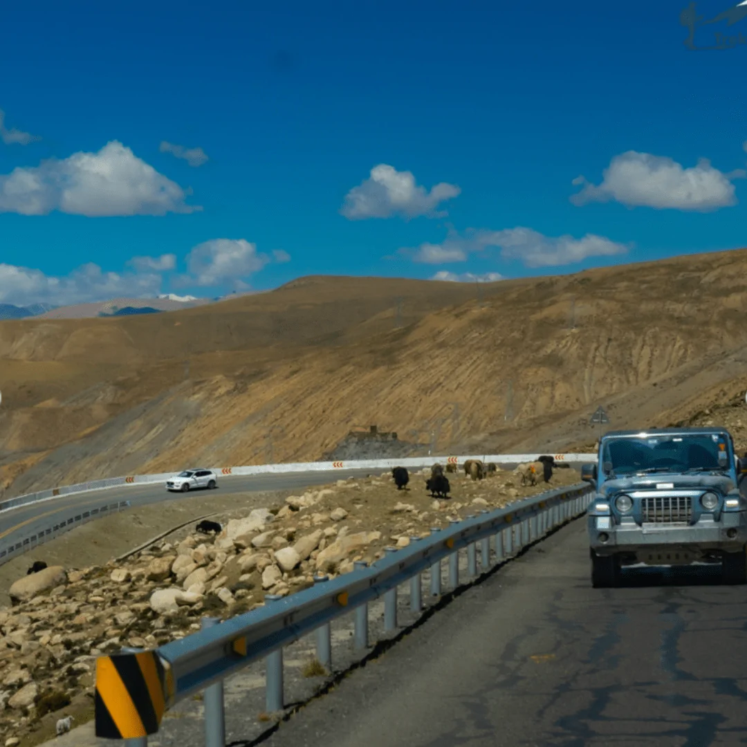 Tibet 4x4 suv self drive tour