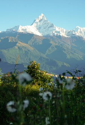 anja-lee-ming-becker-1JxhPdsZZQ8-unsplash