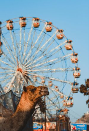 gaurav-gupta-uHS8BkpxASo-unsplash